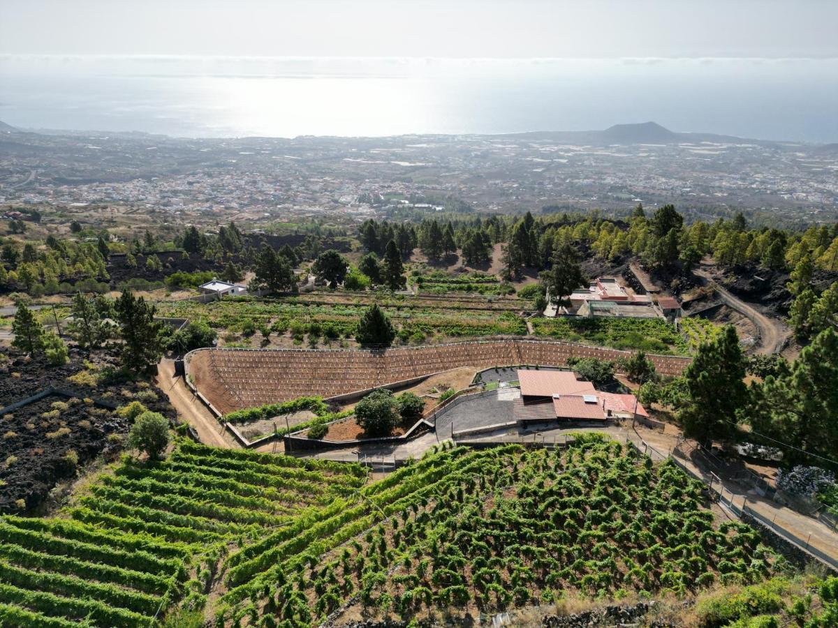 Finca Ecologica Ferrera. Alojamiento Rural. Arafo المظهر الخارجي الصورة